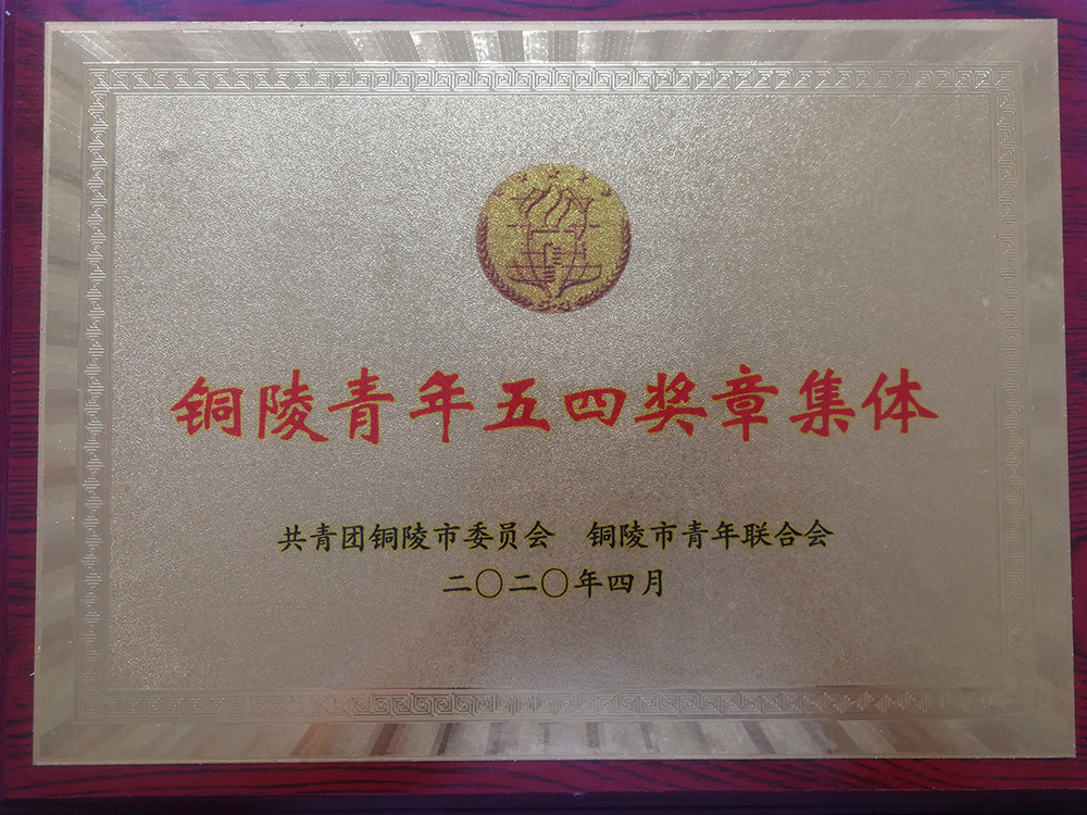 众鑫娱乐·鑫起点,馨效劳,心选择